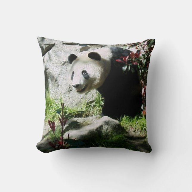 Almofada Panda Smile (Frente)