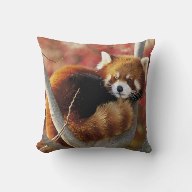 Almofada Panda vermelha (Frente)