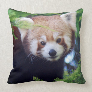 Almofada Panda vermelha