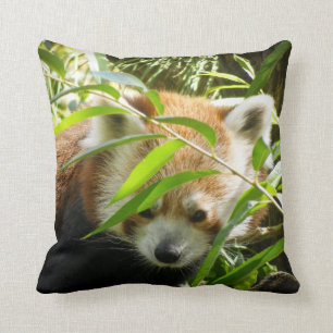 Almofada Panda vermelha 415P2