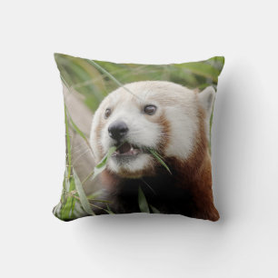 Almofada Panda vermelha da foto do travesseiro.