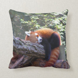 Almofada Panda Vermelha Dormindo