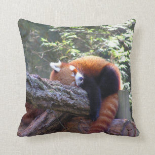 Almofada Panda Vermelha Dormindo