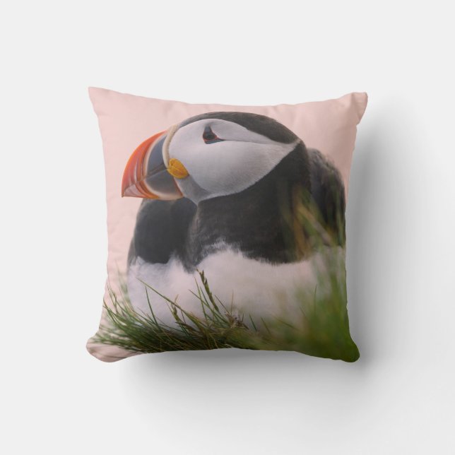 Almofada Papagaio-do-mar (Fratercula arctica) (Frente)