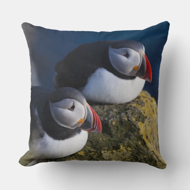 Almofada Papagaio-do-mar (Fratercula arctica) 7 (Frente)