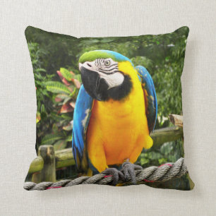 Almofada Papagaio exótico do Macaw