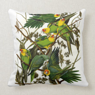 Almofada Papagaios verdes dos Parakeets do vintage