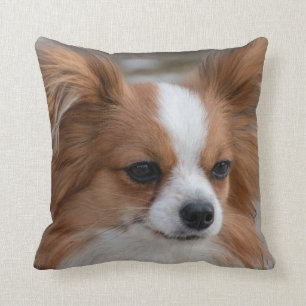 Almofada Papillon - Cão-Pupado Amigável