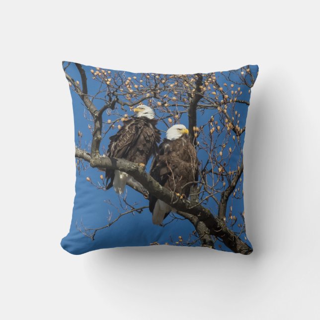 Almofada Par Bald Eagle (Frente)