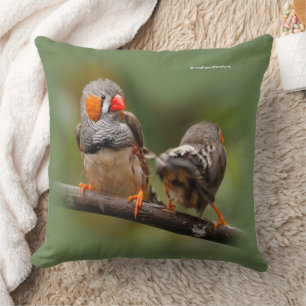 Almofada Par Cheio de Zebra Finches Canaviais