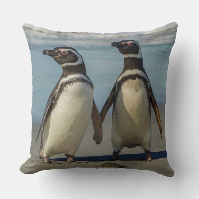 Almofada Par de pinguins na praia (Frente)