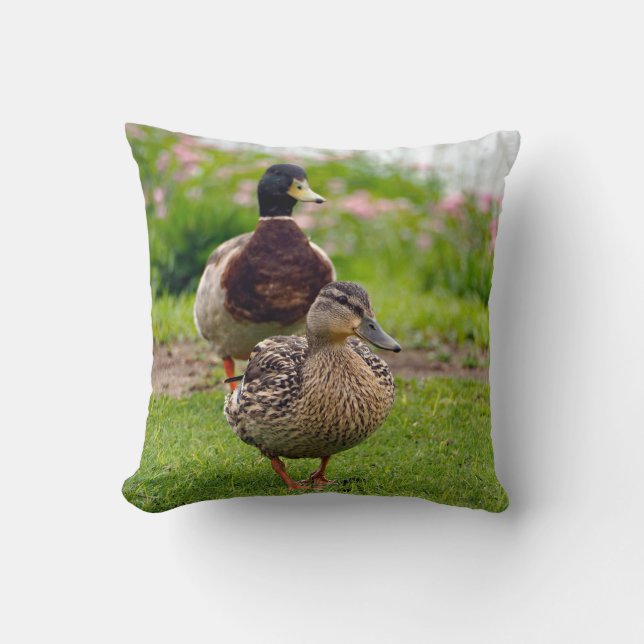 Almofada Par Duck Mallard (Frente)