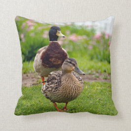 Almofada Par Duck Mallard
