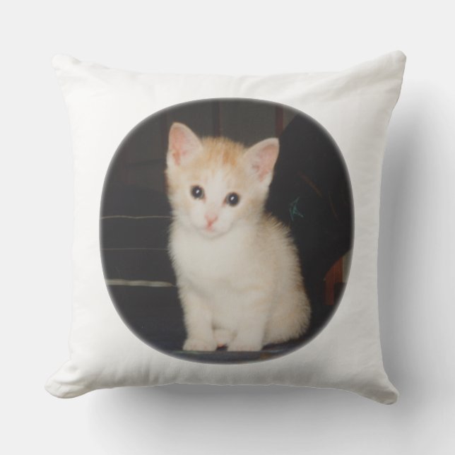 ALMOFADA PARA AMBIENTES EXTERNOS うちのかわいこちゃんのクッション (Frente)