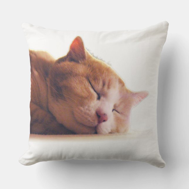 ALMOFADA PARA AMBIENTES EXTERNOS うちのかわいこちゃんのクッション (Frente)