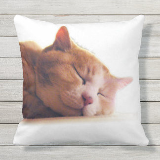 ALMOFADA PARA AMBIENTES EXTERNOS うちのかわいこちゃんのクッション