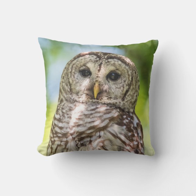 Almofada Para Ambientes Externos Barred Owl (Frente)