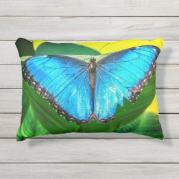 Almofada Para Ambientes Externos Blue Morpho Butterfly Arte Floral