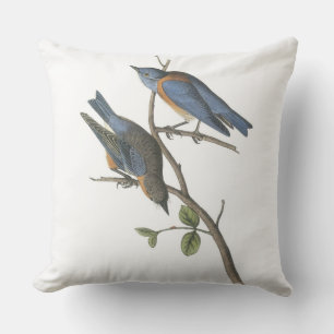 Almofada Para Ambientes Externos Bluebird ocidental por Audubon