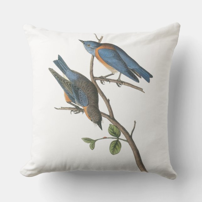 Almofada Para Ambientes Externos Bluebird ocidental por Audubon (Frente)