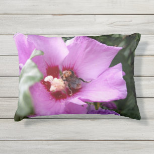 Almofada Para Ambientes Externos Bumblebee na Flor de Hibiscus
