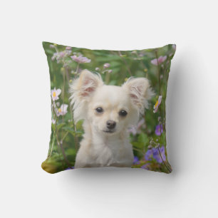 Almofada Para Ambientes Externos Chantilly Chihuahua Dog Puppy Foto: