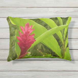 Almofada Para Ambientes Externos Flor de Gengibre Vermelho (Alpinia) Tropical