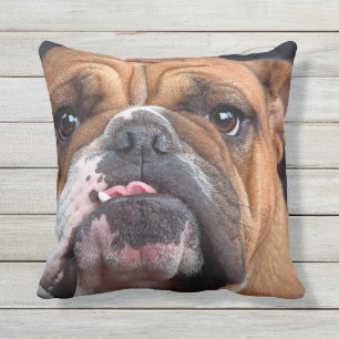 ALMOFADA PARA AMBIENTES EXTERNOS FOCO DA CARA DO BULDOGUE