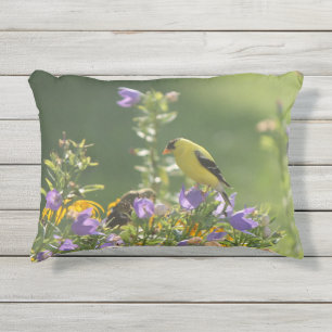 Almofada Para Ambientes Externos Goldfinch em uma Flor Harebell
