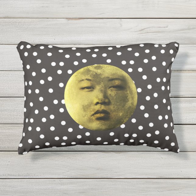 Almofada Para Ambientes Externos Kim Jong Moon Engraçado (Frente)