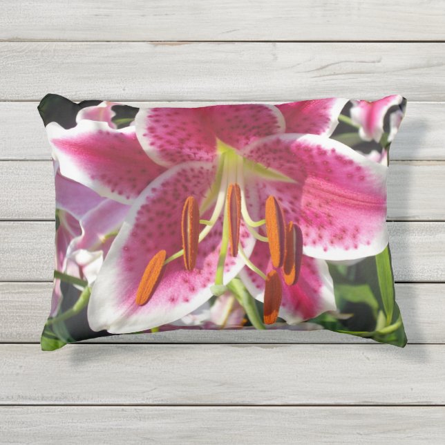 Almofada Para Ambientes Externos Lily clássica das flores tropicais elegantes (Frente)