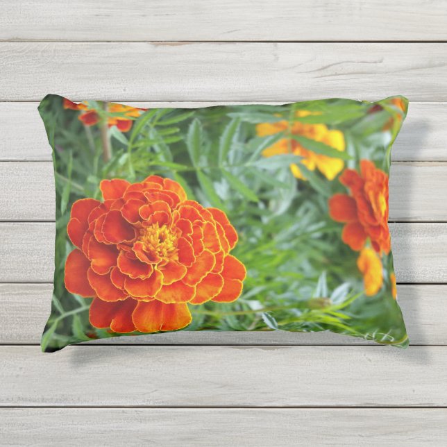 Almofada Para Ambientes Externos marigold de cor clara (Frente)