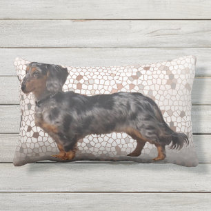 Almofada Para Ambientes Externos Os Dachshunds de Eridox longhair dapple o
