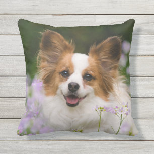 Almofada Para Ambientes Externos Retrato romântico bonito do cão de Papillon - pa