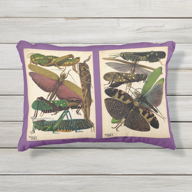 Almofada Para Ambientes Externos "SE Seguy-Insect Fashion" (Frente)