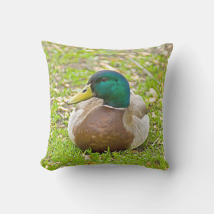 Almofada Para Ambientes Externos Sr. Mallard, o Pato