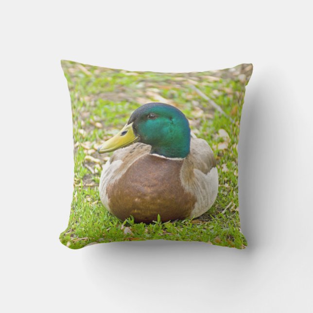 Almofada Para Ambientes Externos Sr. Mallard, o Pato (Frente)