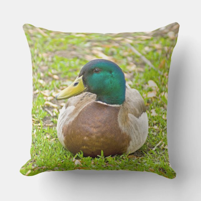 Almofada Para Ambientes Externos Sr. Mallard, o Pato (Frente)