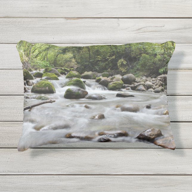 Almofada Para Ambientes Externos Travesseiros decorativos do Stream da Floresta (Frente)