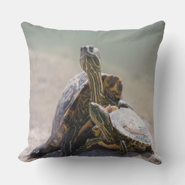 Almofada Para Ambientes Externos Turtle Love (Frente)