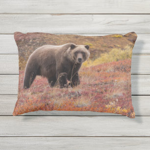 Almofada Para Ambientes Externos Urso Grizzly Move-Se Através De Cores De Outono N