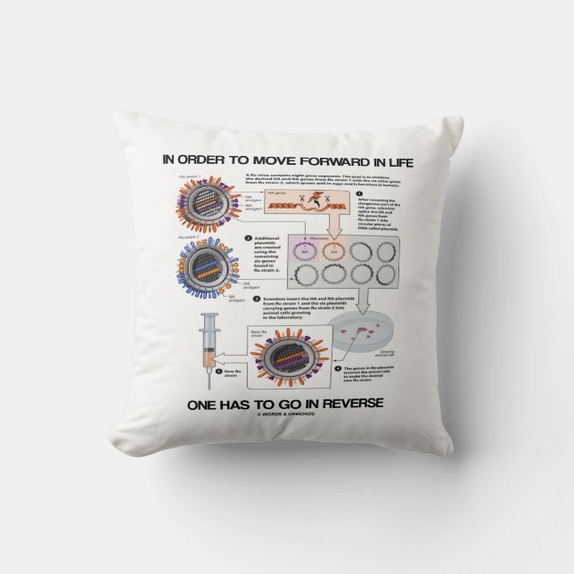 Almofada Para Avançar Na Vida Inverter O Humor (Frente)