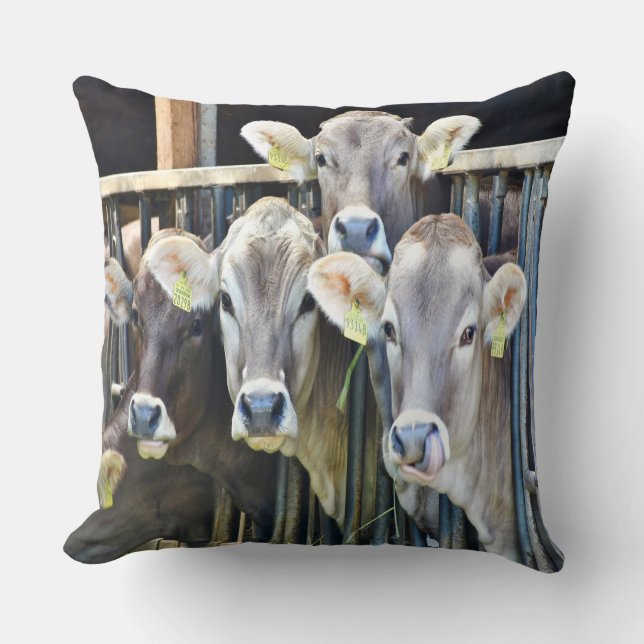 Almofada Para Baixo Nas Vacas De Fazenda (Frente)