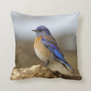 Almofada Pássaro, Bluebird, de 2 lados,