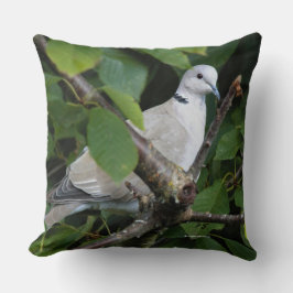 Almofada Pássaro Canhão de Pomba Colarada Eurasiático na ár