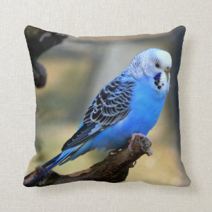 Almofada Pássaro de Papagaio Azul