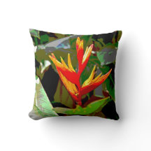 Pássaro de paraíso