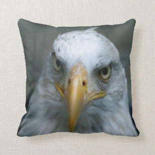 Almofada Pássaro de rapina #21-Bald Eagle