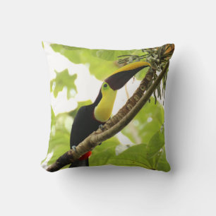 Almofada Pássaro Exótico Swainson Toucan
