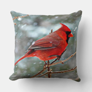 Almofada Pássaro Vermelho Cardinho, dia frio de inverno